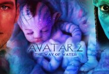 Box Office The condition of 'Circus' is battered in front of 'Avatar 2', 'Drishyam 2' starts to tie the sack bed