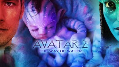 Box Office The condition of 'Circus' is battered in front of 'Avatar 2', 'Drishyam 2' starts to tie the sack bed
