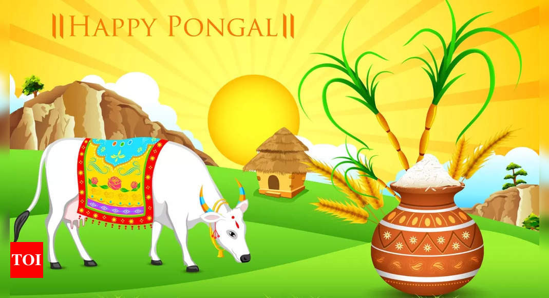 Pongal 2024 7 Dishes That Are A Musthave On Pongal