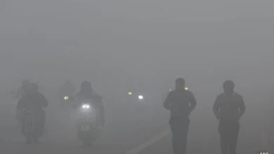 4itvsfl8 delhi fog cold 625x300 15 January 24
