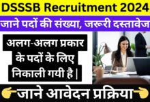 DSSSB Recruitment 2024 Online Apply