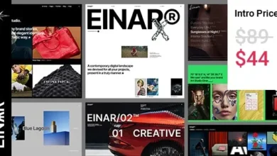 Einar v1.0 Design Agency WordPress Theme.webp