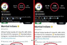 Mumbai Indians followers loss