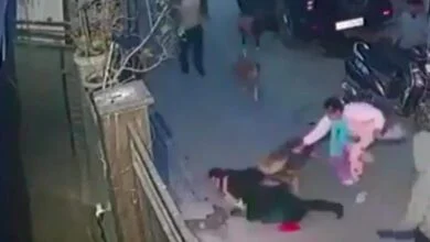 ckr25nfo delhi dog attack 625x300 24 January 24