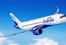 indigo 3