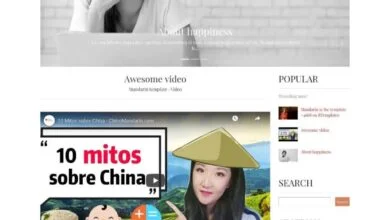 mandarin blogger template1