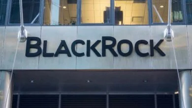 blackrock ibit btc holdings