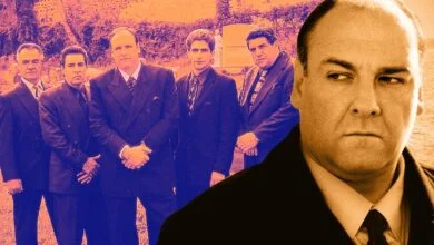 is the sopranos based on a real family