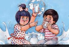 ujt4269o amul milk day 625x300 01 June 22