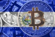 el salvador bitcoin income