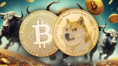 wolf of all streets doge bull market